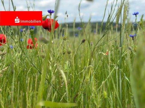 Marburg Grundstücke, Marburg Grundstück kaufen