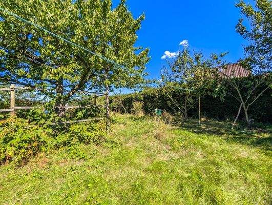 Obststräucher und -bäume