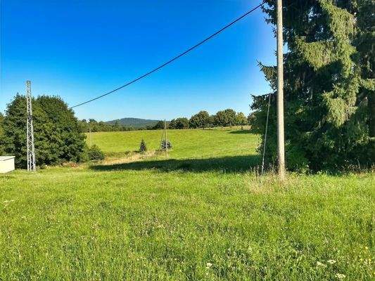 IMG_7061Blick zum Teich