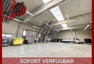 INFOS UNTER: 06171-586000