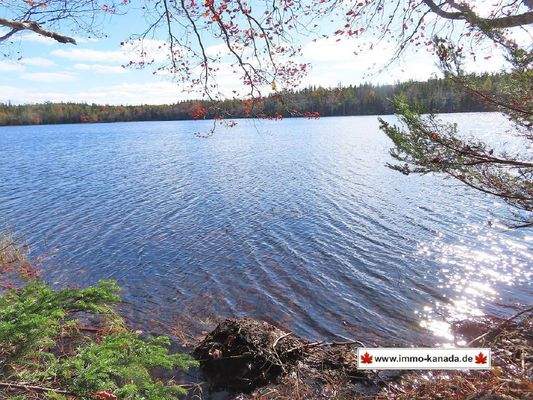 Cape Breton - 3,1 Hektar großes See-Ufergrundstück