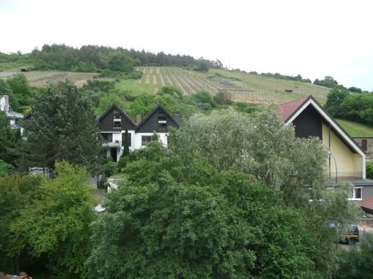  Ausblick vom Wohnzimmer und Balkon