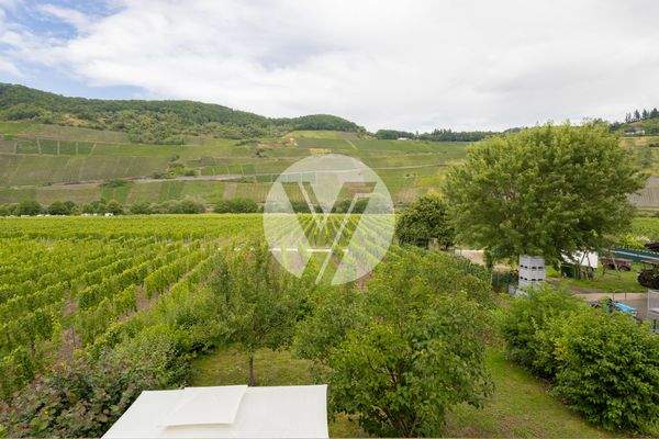 Moselblick / Witschaftsgebäude