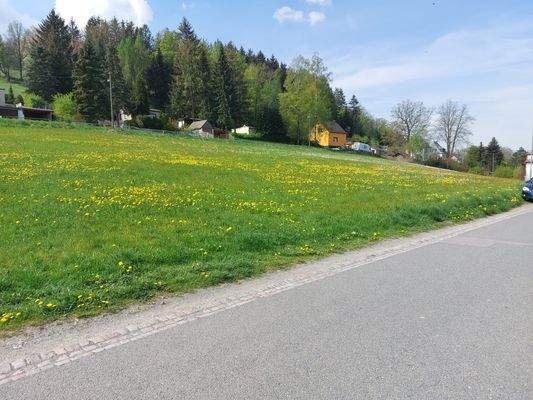 Wald und Wiese und Ausblick