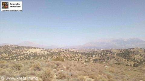 Sivas Bauernhöfe, Landwirtschaft, Sivas Forstwirtschaft