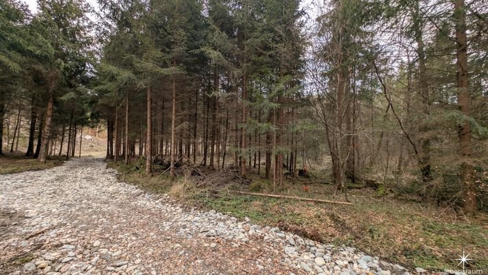Waldgrundstück Moosburg
