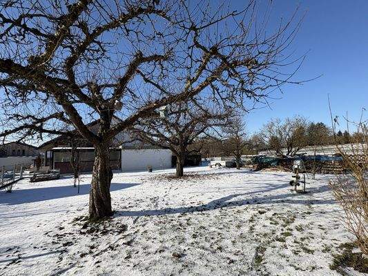Großzügiger Garten