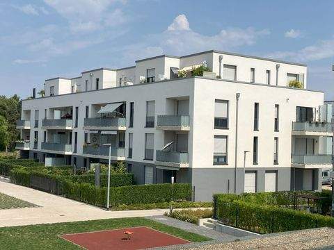 Brühl Wohnungen, Brühl Wohnung mieten