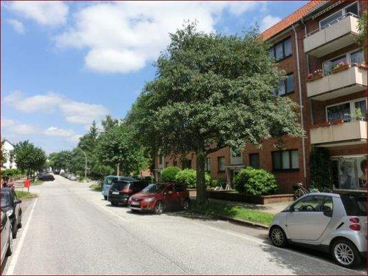 ruhige Anwohnerstraße (Sommer)