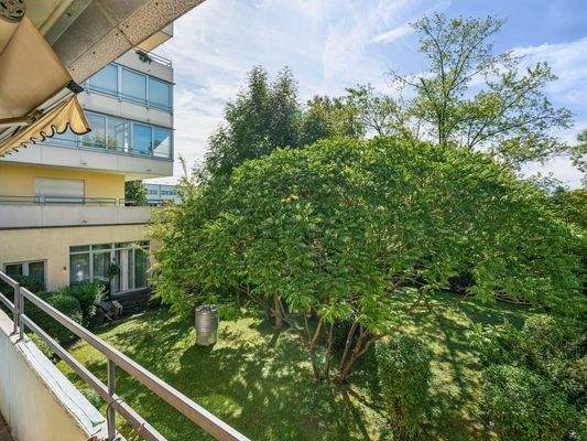 Ausblick vom Balkon - 1