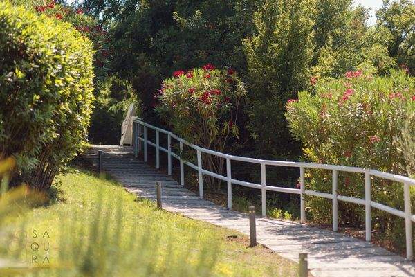 Dukley Exterior (10)