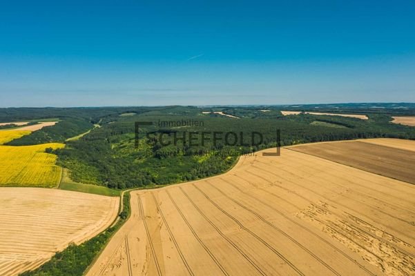 Felder und Waldflchen