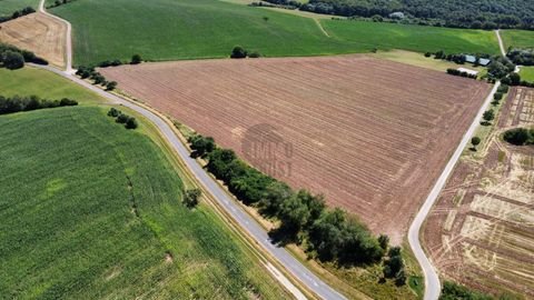 Bockenau Bauernhöfe, Landwirtschaft, Bockenau Forstwirtschaft