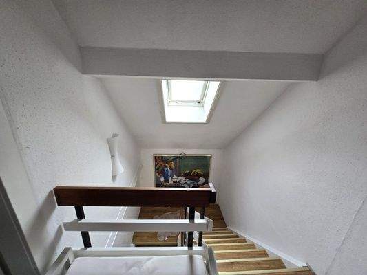 20250706_140757 (Mittel).jpg