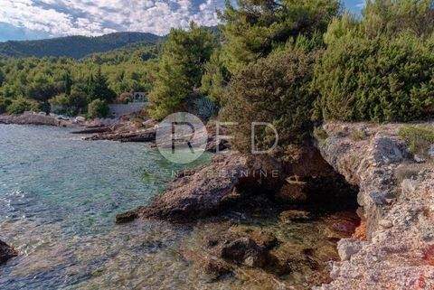 Jelsa Bauernhöfe, Landwirtschaft, Jelsa Forstwirtschaft