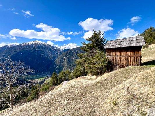 Bergwiese mit Heustadl