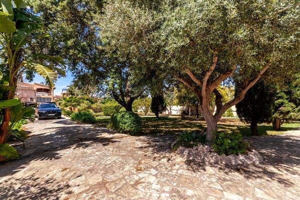 Außenbereich und Garten des Stadthauses