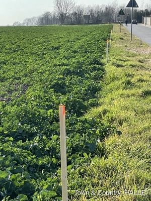 Baugrundstücke Am schwarzen Weg Hohenthurm 