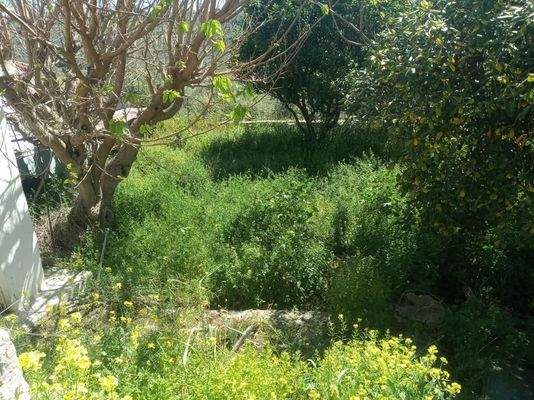 Kreta, Spilia: Renovierungsobjekt auf dem Land zu verkaufen