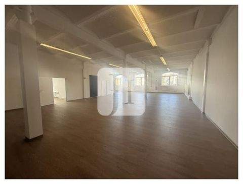 Hamburg Halle, Hamburg Hallenfläche