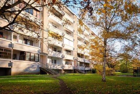Dessau-Roßlau Wohnungen, Dessau-Roßlau Wohnung mieten