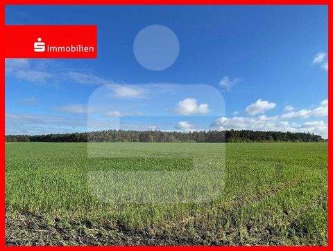 Barver Bauernhöfe, Landwirtschaft, Barver Forstwirtschaft