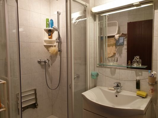 Badezimmer mit Dusche und Waschmaschine (WC separat)