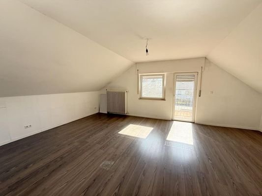 Zimmer DG