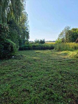 received_1100531177979272 (1).jpeg