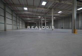 Visualisierung Hallenfläche