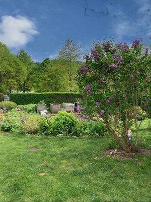 …Blick in den Garten