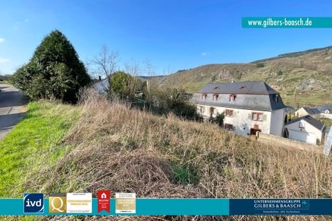 Burg(Mosel) Grundstücke, Burg(Mosel) Grundstück kaufen