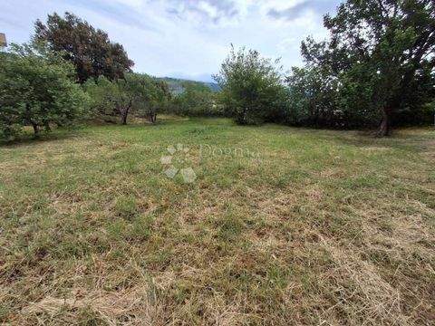 Rab Bauernhöfe, Landwirtschaft, Rab Forstwirtschaft