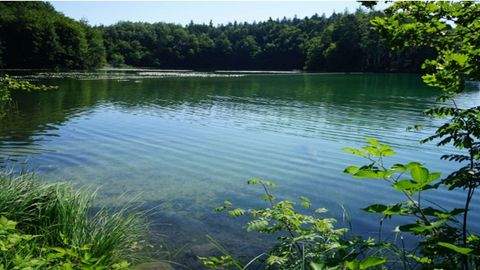Eggstätt Wohnungen, Eggstätt Wohnung mieten