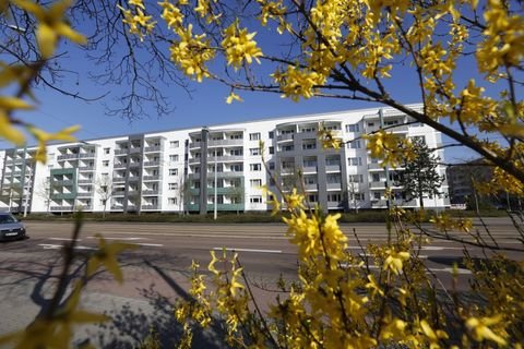 Dessau-Roßlau Wohnungen, Dessau-Roßlau Wohnung mieten