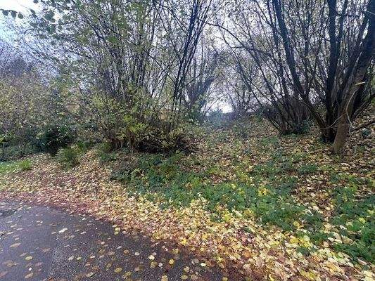 2) G_Gaggenau_Grundstück von unten