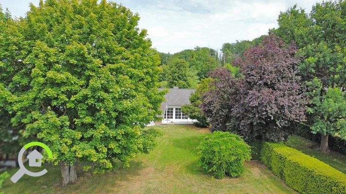 Blick vom untern Grundstücksteil