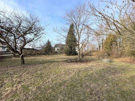 Blick Bauplatz Richtung Haus