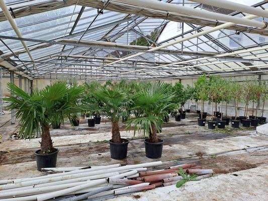 Sehr hell - Dachentlüftung