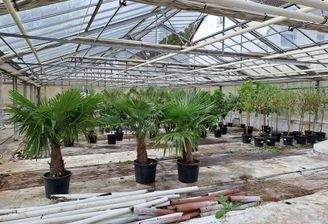 Sehr hell - Dachentlüftung