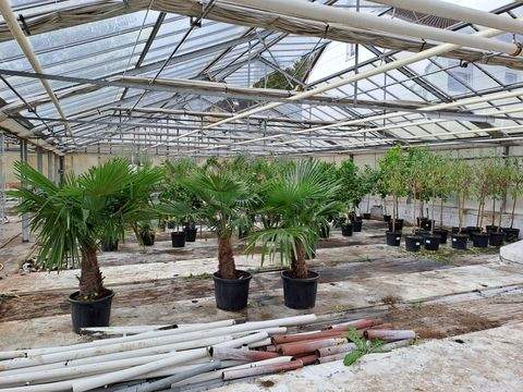 Wiesbaden Halle, Wiesbaden Hallenfläche