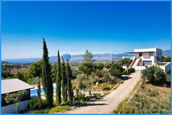 62be259c545049d5a41c34f4376f91bf-original