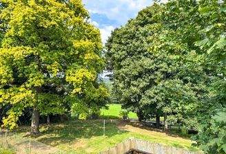 Blick ins Grüne und -