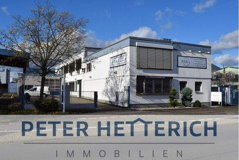 Schweinfurt Halle, Schweinfurt Hallenfläche