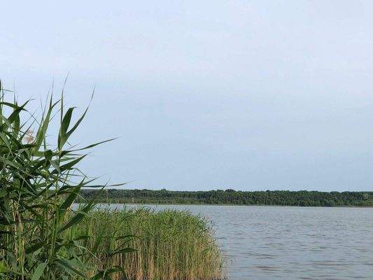 See in direkter Umgebung