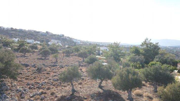 Plot-for-sale-in-Kokkino-Chorio-IMG-20241115-WA002