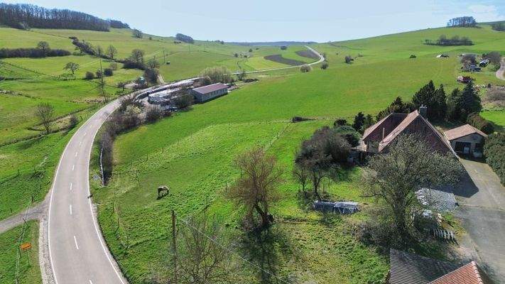 Blick ins unverbaubare Grüne