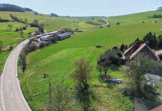 Blick ins unverbaubare Grüne