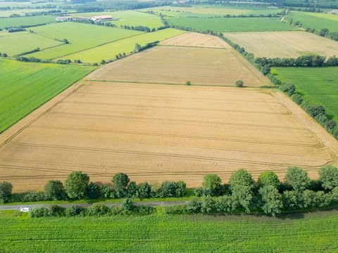 Oldersbek Bauernhöfe, Landwirtschaft, Oldersbek Forstwirtschaft