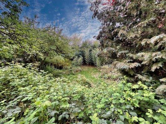 Blick in den Garten mit drei Ebenen